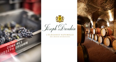 Vins de Bourgogne - Joseph Drouhin Joseph Drouhin - Vins de Bourgogne
