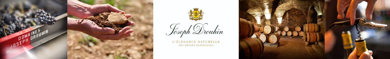 Vins de Bourgogne - Joseph Drouhin Joseph Drouhin - Vins de Bourgogne
