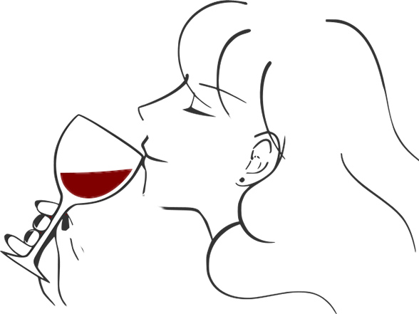 Caviste comptoir des vignes Aurillac