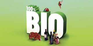 100% Bio - Vins, champagnes, bières et spiritueux bio